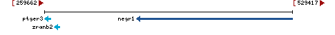 Genomic Context describing neighboring genes