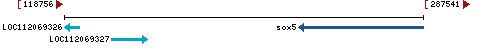 Genomic Context describing neighboring genes