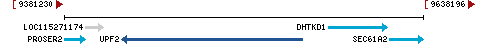 Genomic Context describing neighboring genes