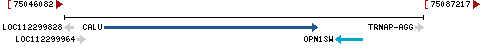 Genomic Context describing neighboring genes