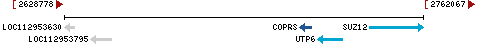 Genomic Context describing neighboring genes