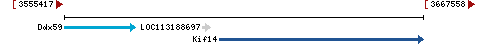 Genomic Context describing neighboring genes