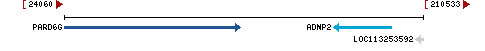 Genomic Context describing neighboring genes