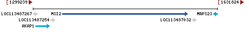 Genomic Context describing neighboring genes