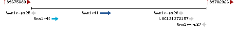 Genomic Context describing neighboring genes