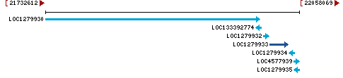 Genomic Context describing neighboring genes