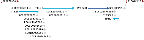 Genomic Context describing neighboring genes