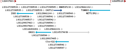 Genomic Context describing neighboring genes