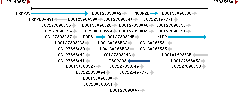 Genomic Context describing neighboring genes