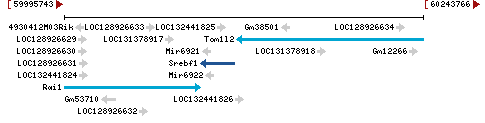 Genomic Context describing neighboring genes