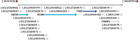 Genomic Context describing neighboring genes