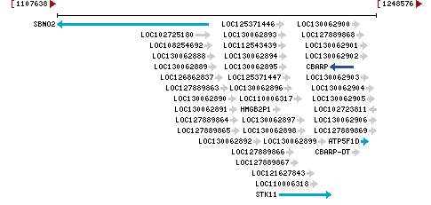 Genomic Context describing neighboring genes