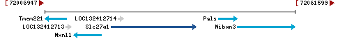 Genomic Context describing neighboring genes