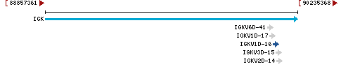 Genomic Context describing neighboring genes