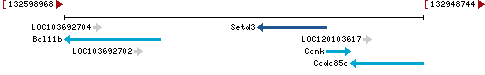 Genomic Context describing neighboring genes