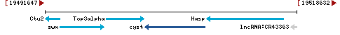 Genomic Context describing neighboring genes