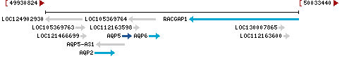 Genomic Context describing neighboring genes