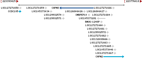 Genomic Context describing neighboring genes