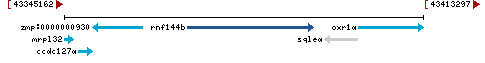 Genomic Context describing neighboring genes