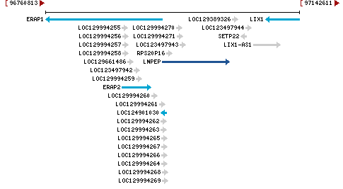 Genomic Context describing neighboring genes