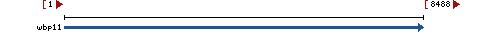 Genomic Context describing neighboring genes