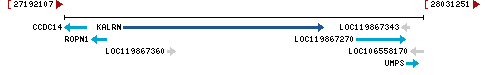 Genomic Context describing neighboring genes