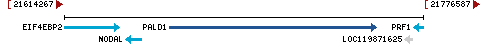 Genomic Context describing neighboring genes