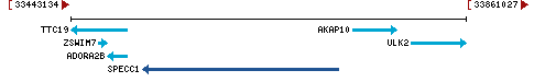 Genomic Context describing neighboring genes