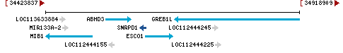 Genomic Context describing neighboring genes