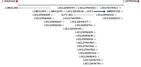 Genomic Context describing neighboring genes