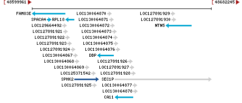 Genomic Context describing neighboring genes