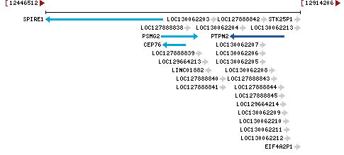 Genomic Context describing neighboring genes