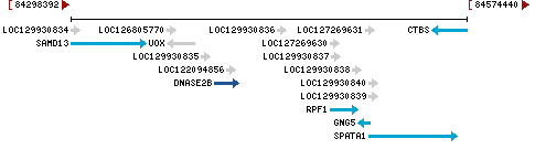 Genomic Context describing neighboring genes