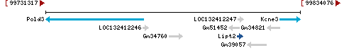 Genomic Context describing neighboring genes