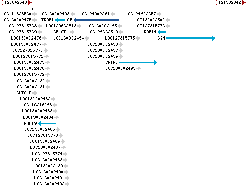 Genomic Context describing neighboring genes