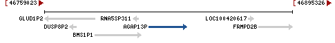 Genomic Context describing neighboring genes