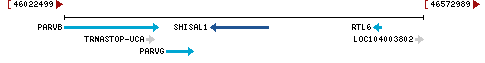 Genomic Context describing neighboring genes