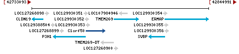 Genomic Context describing neighboring genes