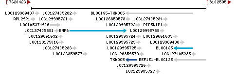 Genomic Context describing neighboring genes