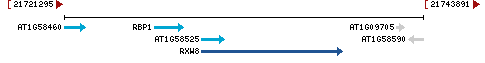 Genomic Context describing neighboring genes