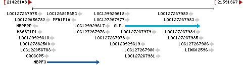 Genomic Context describing neighboring genes