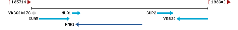 Genomic Context describing neighboring genes