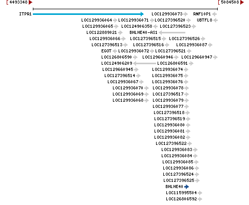 Genomic Context describing neighboring genes