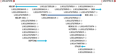 Genomic Context describing neighboring genes