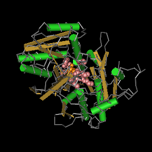 Conserved site includes 8 residues -Click on image for an interactive view with Cn3D