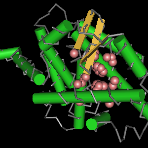 Conserved site includes 12 residues -Click on image for an interactive view with Cn3D