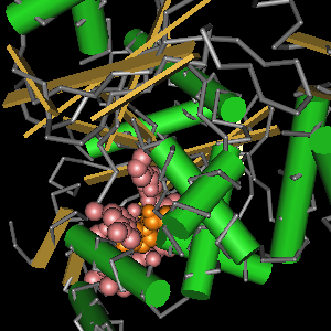 Conserved site includes 16 residues -Click on image for an interactive view with Cn3D