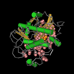 Conserved site includes 38 residues -Click on image for an interactive view with Cn3D