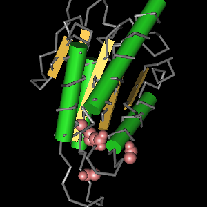 Conserved site includes 6 residues -Click on image for an interactive view with Cn3D