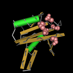 Conserved site includes 7 residues -Click on image for an interactive view with Cn3D